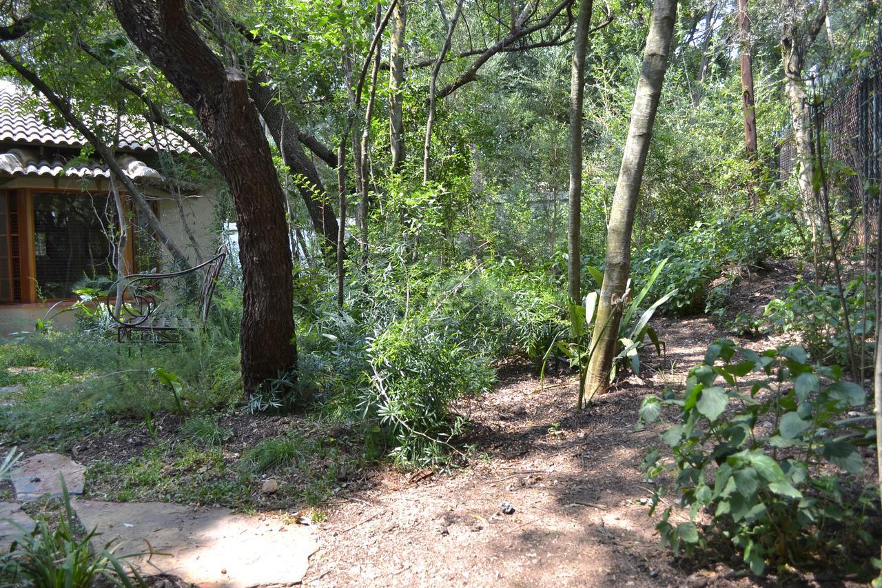 Lydall Wild Tranquil Garden Suites Johannesbourg Extérieur photo